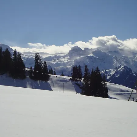 Ferienhaus Scharmeli * Gstaad